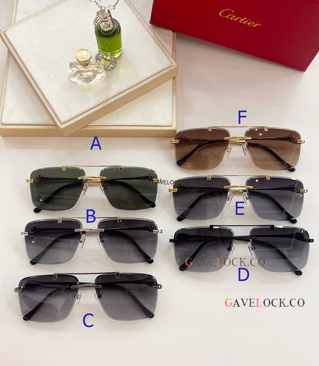 Free Shipping Cartier Panthere Sunglasses ct0350 Rimless